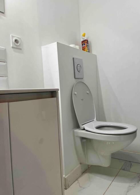 2 Room Flat Toulouse Kültér fotó